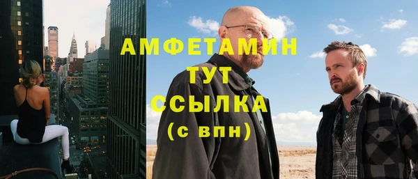 индика Бронницы