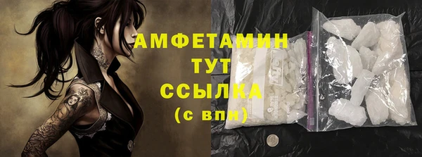 индика Бронницы