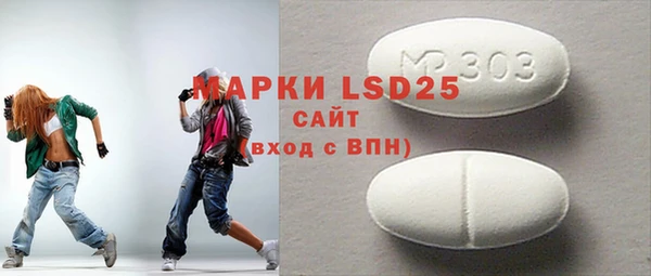 mdpv Бородино