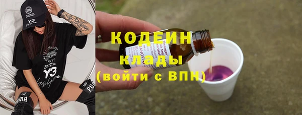 индика Бронницы