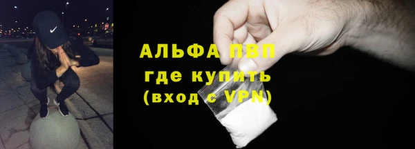 индика Бронницы