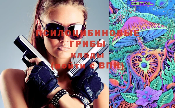 ПСИЛОЦИБИНОВЫЕ ГРИБЫ Бугульма