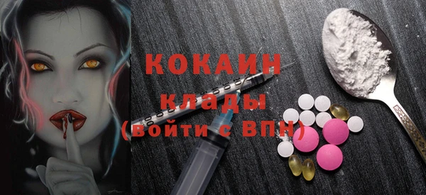 mdpv Бородино