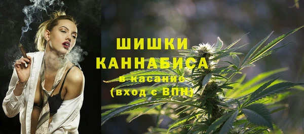 mdpv Бородино