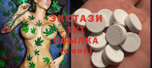 mdpv Бородино