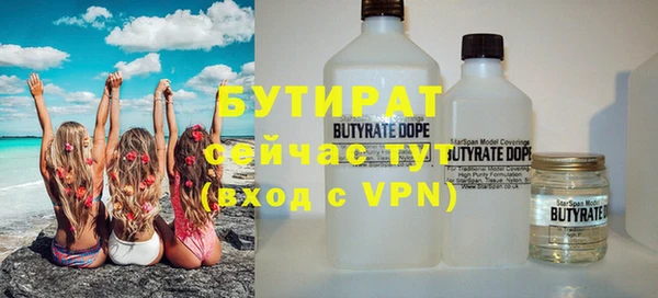индика Бронницы