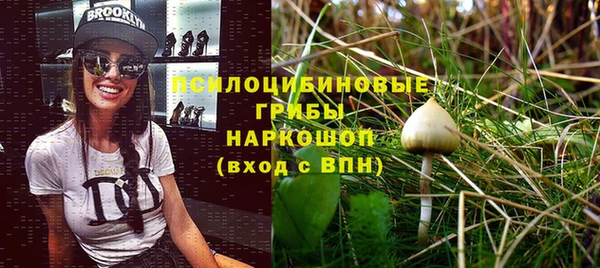 индика Бронницы