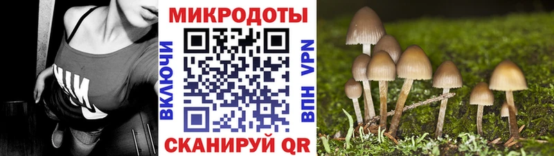 кракен зеркало Новоульяновск Псилоцибиновые грибы GOLDEN TEACHER закладка